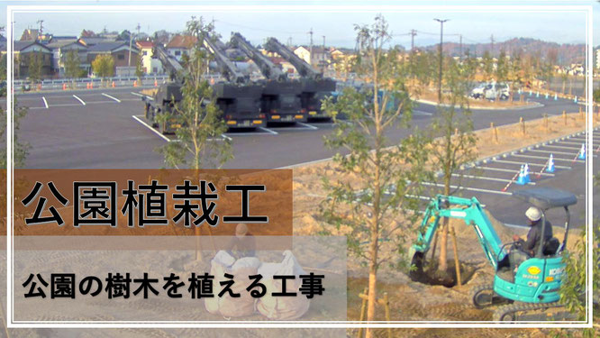 公園植栽工 公園の樹木を植える仕事